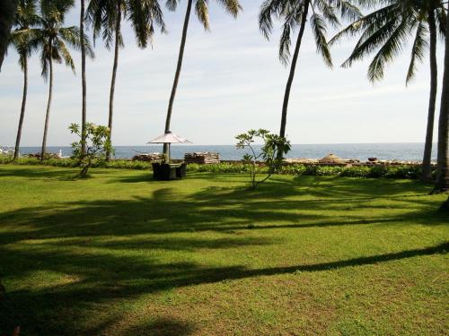 特贾库拉阿姆瑞塔盐田别墅旅馆的棕榈树和海洋公园