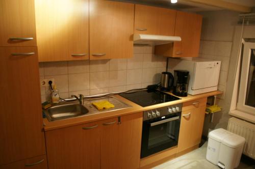 希尔兴巴赫Ferien-/Monteurwohnung Olbrich的厨房配有木制橱柜、水槽和微波炉