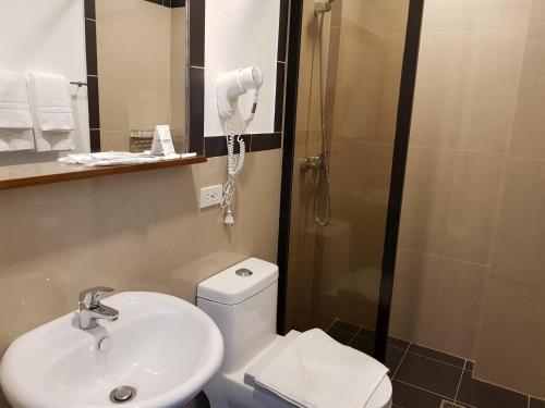 宿务法兰克福豪华宾馆的浴室配有卫生间、盥洗盆和淋浴。