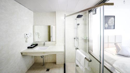 科罗尔海洋之星酒店 的一间带水槽和淋浴的浴室