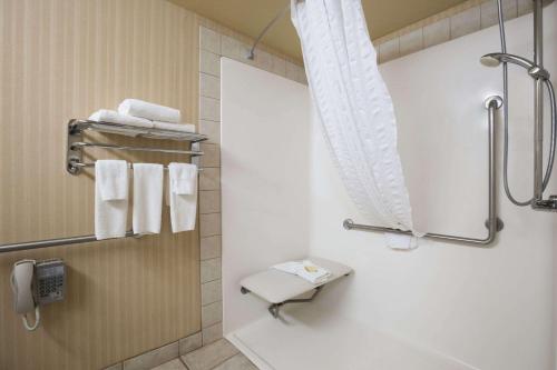 纳尔逊堡纳尔逊堡速8酒店的浴室配有盥洗盆、卫生间和毛巾。