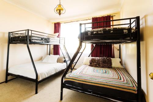 塞斯诺克Coal d' Vine VIEW - Cessnock NSW的一间卧室配有两张双层床和一张床