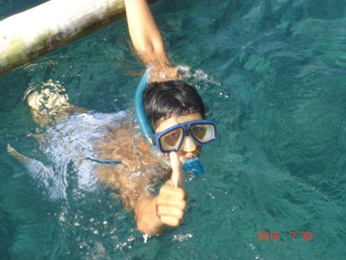 罗威那Penginapan Sedap Malam的游泳池里的人,带浮潜
