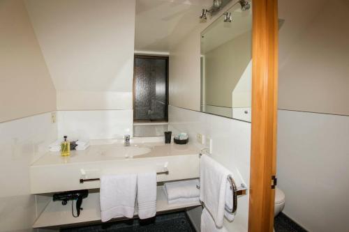 但尼丁艾伦苑汽车旅馆的白色的浴室设有水槽和镜子