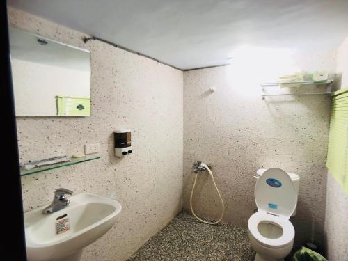 Tongluo中兴旅社 的一间带水槽、卫生间和镜子的浴室