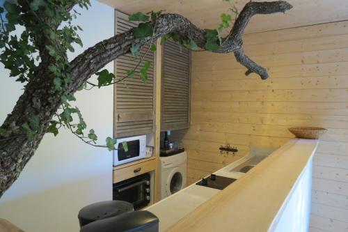 普罗旺斯地区阿莱马尼Le gite du grand cèdre - proche des gorges du Verdon的树枝挂在带水槽的厨房的台面上