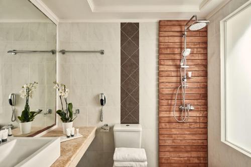 克雷马斯蒂All Senses Ocean Blue Sea Side Resort - All Inclusive的带淋浴、卫生间和盥洗盆的浴室