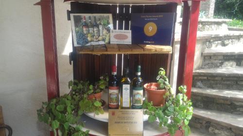 圣吉米纳诺博尔戈蒙塔托酒店的陈列在植物架子上的葡萄酒瓶