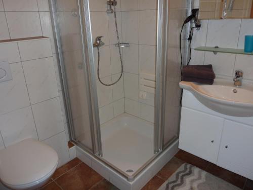 斯拉德明豪斯里格尔酒店的带淋浴、卫生间和盥洗盆的浴室