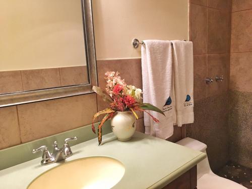 圣地亚哥Suite Rivas 126 Gran Pacifica Resort的浴室设有水槽,上面有花瓶