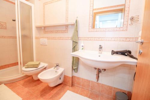 拉多夫吉卡Alp Apartma的一间带水槽和卫生间的浴室