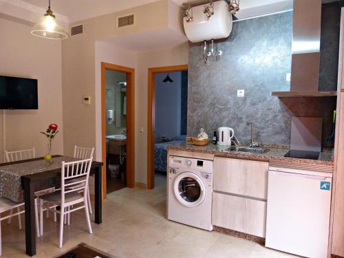 安特克拉Najera Suite的厨房配有洗衣机和水槽