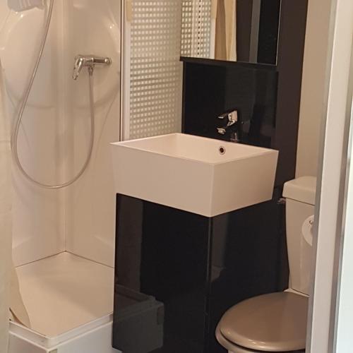 维勒瑞夫Mini Studio Portes de Paris Villejuif Métro 7的浴室配有白色水槽和卫生间。