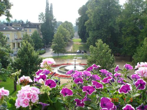 巴特皮尔蒙特阿尔特别墅施罗斯伯里克酒店的享有鲜花和喷泉公园的景色