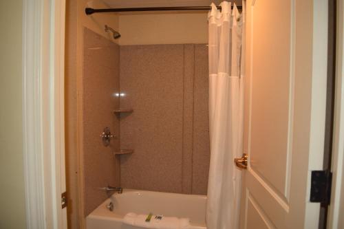 兰伯顿Atkinson Inn & Suites的浴室配有浴缸和淋浴及浴帘