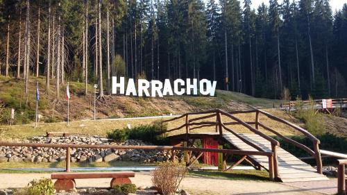 哈拉霍夫Harrachov Resident Apartments with Terrace的相册照片