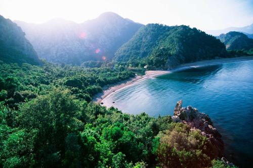 契拉勒麦兰德自然假日公园的享有树木和海滩的河流美景