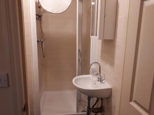 格雷夫森德萨姆洛克盖斯特酒店的一间带水槽和淋浴的小浴室