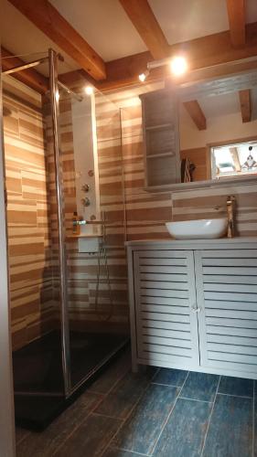波讷地区圣朱利安Maison ocelandes的带淋浴和盥洗盆的浴室