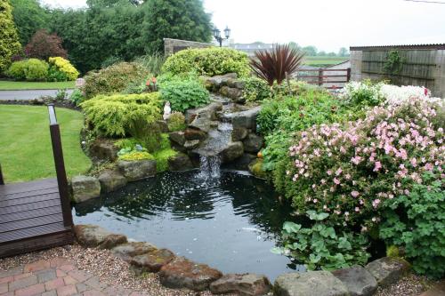 奥尔弗里顿Crich Lane Farm的花园,花园内设有一个喷泉池塘和鲜花
