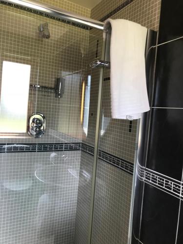 格伦蒂斯Park View的浴室里设有玻璃门淋浴
