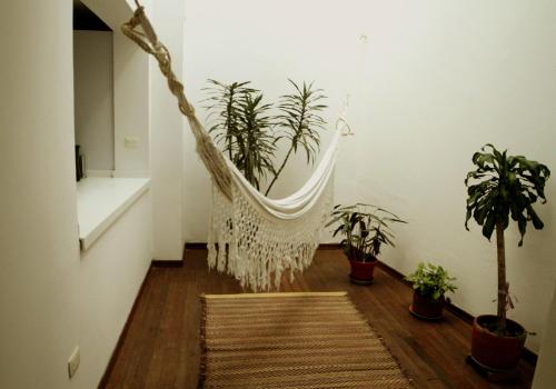 波哥大Magdalena Guest House的盆栽间的吊床