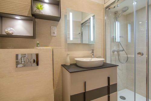 尼斯奥利维特公寓的一间带水槽和淋浴的浴室
