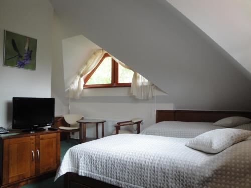 霍若维采尤帕库酒店的一间卧室设有一张床、一台电视和一个窗口。