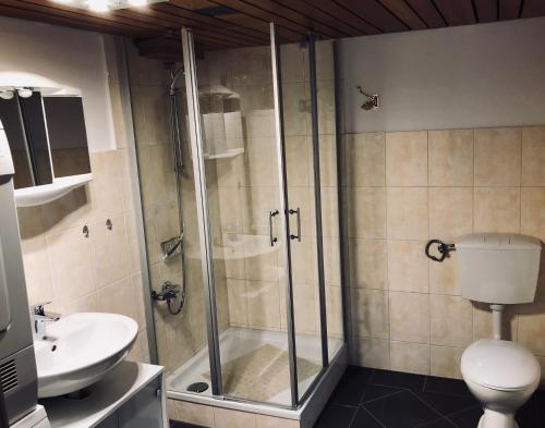 马兰迪Ferienwohnung Südel的带淋浴、卫生间和盥洗盆的浴室