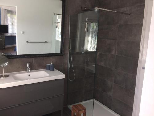 埃因霍温Florentino的浴室配有盥洗盆和带镜子的淋浴