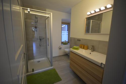 LenzFerienwohnung PARDI的带淋浴、盥洗盆和卫生间的浴室