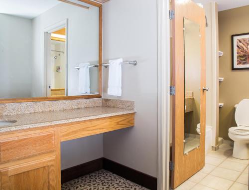 西黄石灰狼套房酒店的一间带水槽和卫生间的浴室