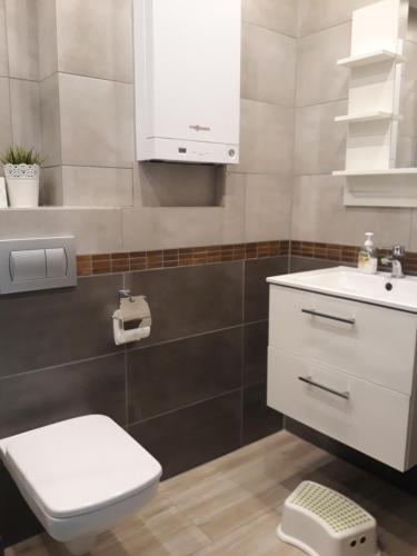 波别罗沃Apartament 7的浴室配有白色卫生间和盥洗盆。