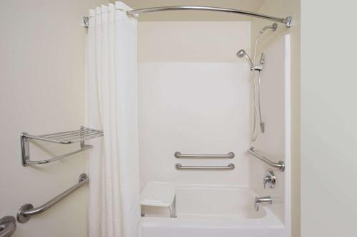 霍兰温德姆荷兰德米克罗套房酒店的浴室配有淋浴帘和浴缸。