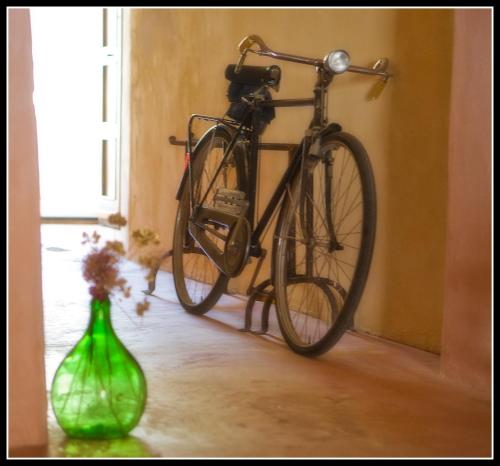 PollaraHotel La Locanda Del Postino的停在绿花瓶旁边的走廊上的自行车