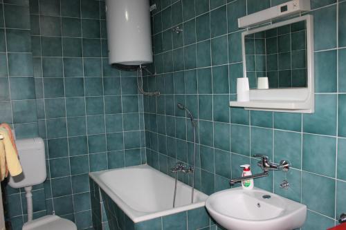 Dudić apartmani的一间浴室