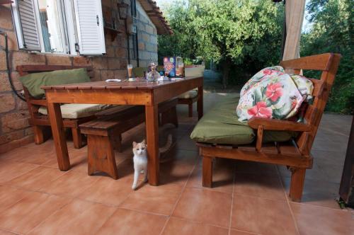 LévktronMare di l'angeli的一只白色的猫站在桌子和椅子旁边
