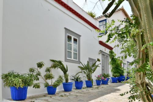 伊兹拉Manolia的白色房子上一排蓝色盆栽植物