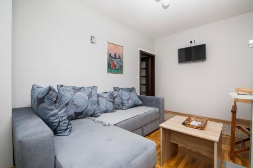 卡鲁德杰尔斯科巴尔Apartmani Tarsko Sunce的客厅配有沙发和桌子