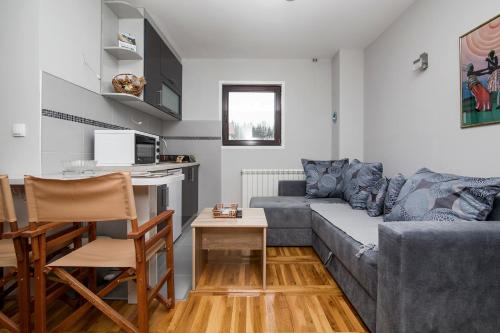 卡鲁德杰尔斯科巴尔Apartmani Tarsko Sunce的客厅配有沙发和桌子