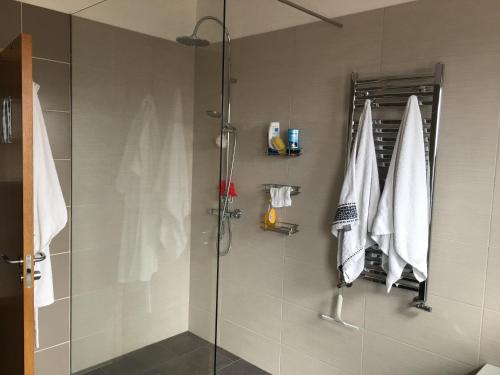 SandgerðiDagpol的浴室设有玻璃门和毛巾淋浴