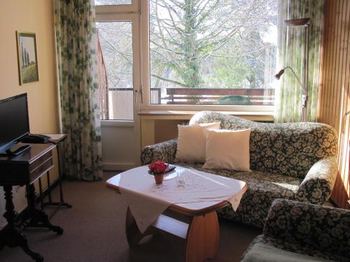 霍恩-巴特迈恩贝格Hotel-Café "Schauinsland"的带沙发、桌子和窗户的客厅