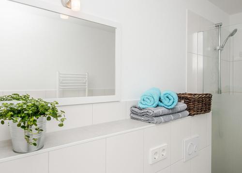 吕本Spreewaldapartments-Kossatz的白色的浴室设有毛巾架和镜子