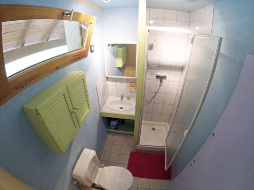 绍尔日La Valière的一间带卫生间和水槽的小浴室
