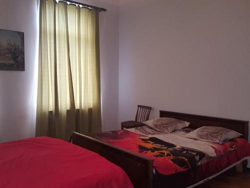库塔伊西Hostel Mana Kutaisi的一间卧室设有两张床和窗户。