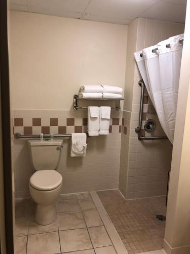 PrincetonAmericInn by Wyndham Princeton IL的一间带卫生间和毛巾的浴室