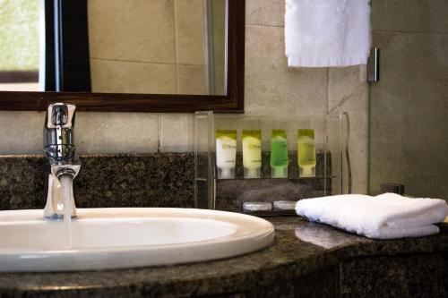内罗毕Elysian Resort的浴室内的盥洗盆,配有镜子和一些肥皂