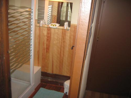 罗纳河畔的图尔农Hotel Chaumiere -的带淋浴和卫生间的小浴室
