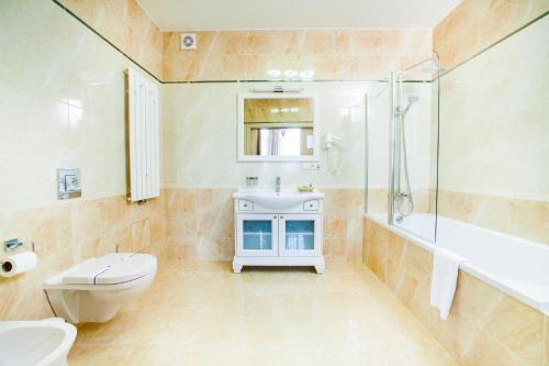 基辅麦金托什酒店的浴室配有卫生间水槽和淋浴。