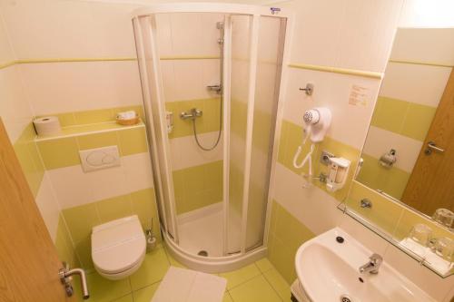 Moravský Žižkov玛德里奇旅馆的带淋浴、卫生间和盥洗盆的浴室